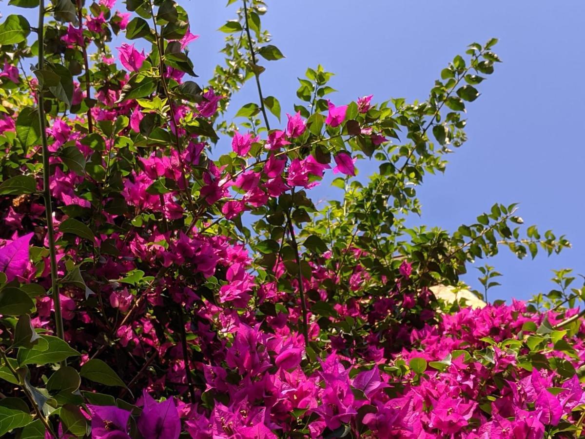 B&B Casa Marconi ปิซา ภายนอก รูปภาพ